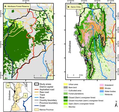 Impact of Conservation Policies on Households’ Deforestation Decisions in Protected and Open-Access Forests: Cases of Moribane Forest Reserve and Serra Chôa, Mozambique